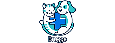 Logo Blauwe Kruis Brugge Dierenopvangcentrum vzw