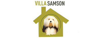 Logo VILLA SAMSON